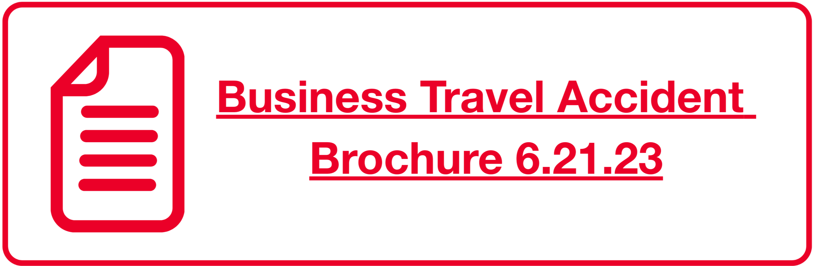 business travel accident vrochure